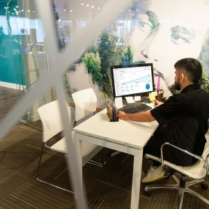 virtual office solutions for consultants