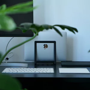 low budget fully furnished office spaces