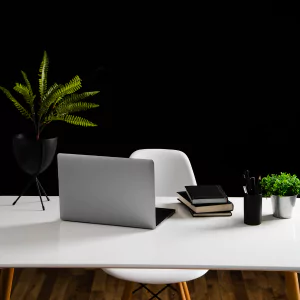 best plug and play office in guindy
