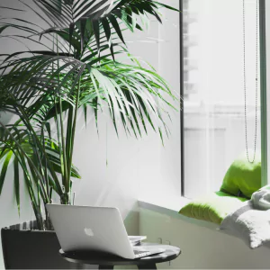affordable shared workspace in Chennai